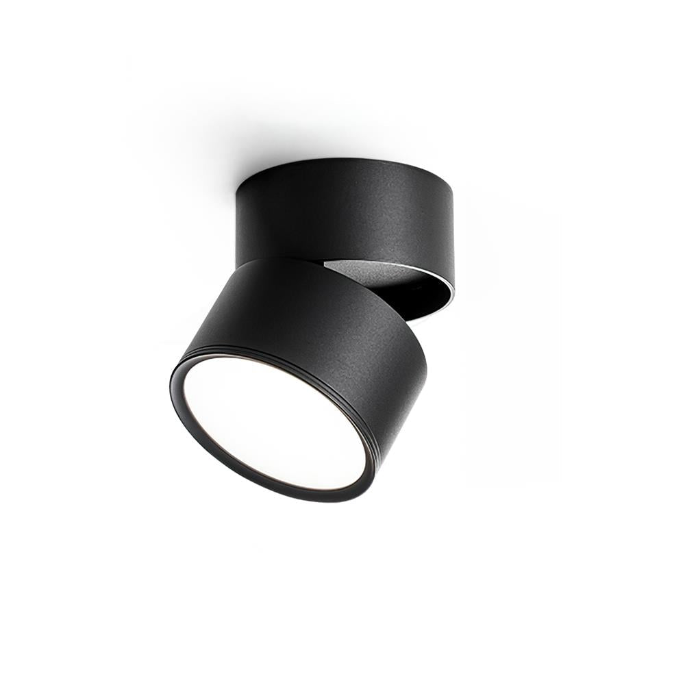 Adjustable Spotlight Ceiling Fixture 4 Inch Rotating LED Light for Artwork Living Room Gallery Black White Aluminum