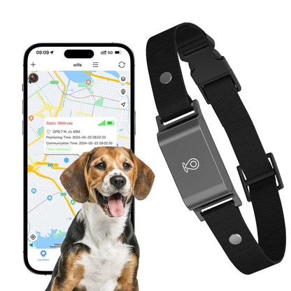 Collar rastreador GPS impermeable para perros y gatos