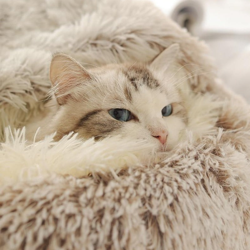 Colección Cozy | Cama tipo cueva para gatos con tela de felpa y diseño ergonómico | Refugio seguro para mayor comodidad y serenidad