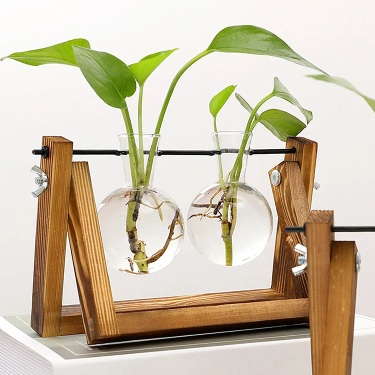 Wooden Hydroponic Vase Holder with Glass Tubes for Propagating Cuttings Tabletop Decor Station for Herbs Flowers Succulents Root Development
