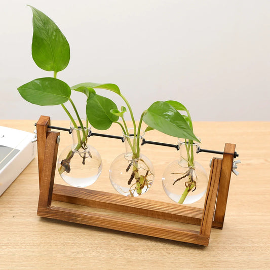 Wooden Hydroponic Vase Holder with Glass Tubes for Propagating Cuttings Tabletop Decor Station for Herbs Flowers Succulents Root Development