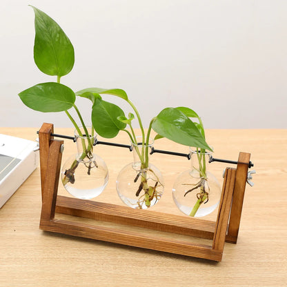 Wooden Desktop Glass Tube Rooting Station for Cuttings & Houseplants — Single, Double & Triple Holder Designs