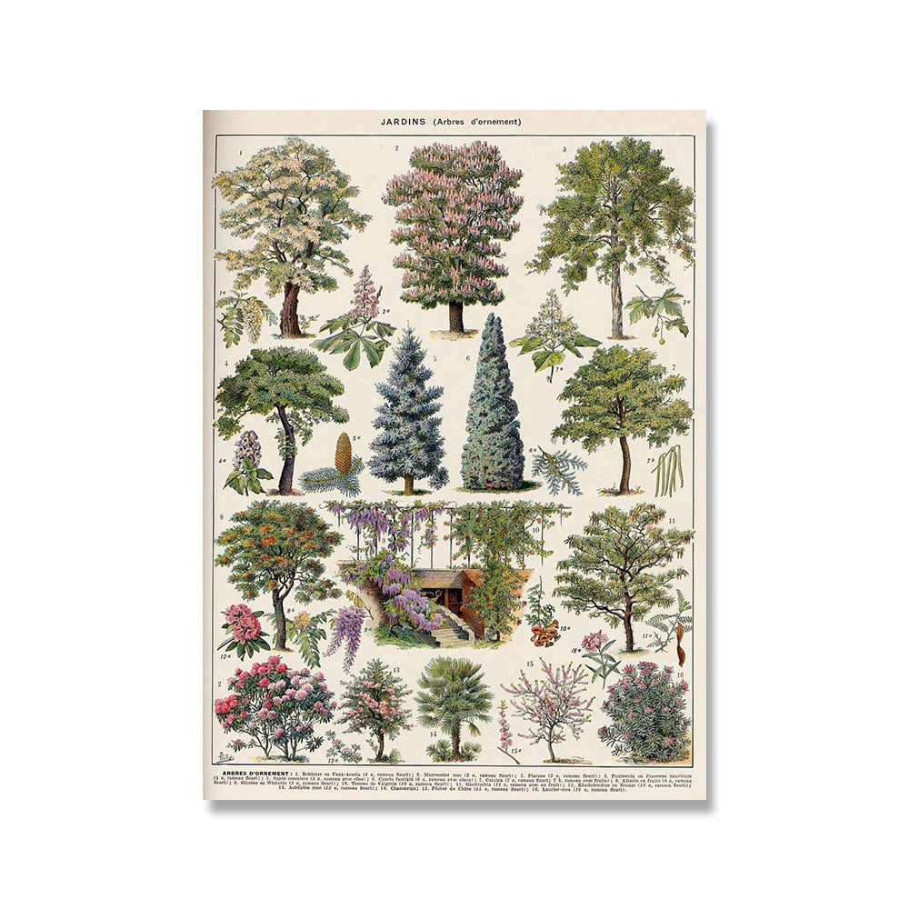 Framed Nature Illustration Canvas Prints – Classic Plant & Flower Wall Art for Living Room, Bedroom, Home Office Décor