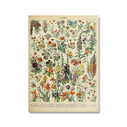 Framed Nature Illustration Canvas Prints – Classic Plant & Flower Wall Art for Living Room, Bedroom, Home Office Décor