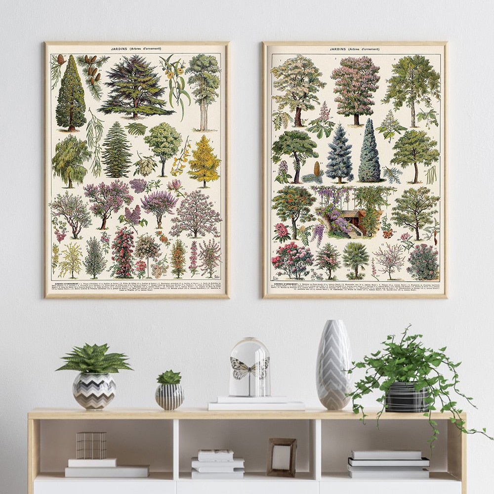 Framed Nature Illustration Canvas Prints – Classic Plant & Flower Wall Art for Living Room, Bedroom, Home Office Décor