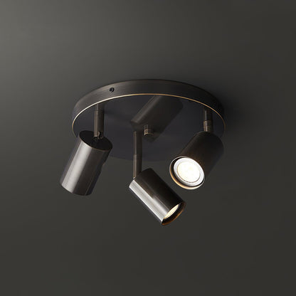Rotatable Track Light for Kitchen Ceilings Multi-Head Metal Spotlight Fixture for Closets Directional Task Lighting Brass or Black