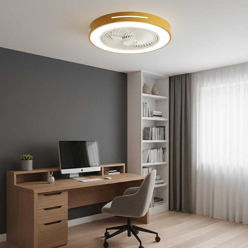 Indoor Fan with Integrated Lighting 24-Inch Diameter Acrylic Blade Assembly Adjustable Speed and Brightness for Bedrooms Living Rooms Dining