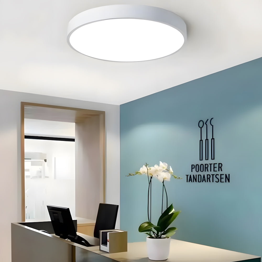 Lámpara de techo LED de perfil bajo, 16 pulgadas, redonda, con panel de acrílico para dormitorio, sala de estar y cocina, diseño contemporáneo ultradelgado, eficiente energéticamente