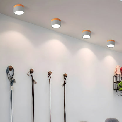 Compact Cylindrical Flush Mount LED Fixture for Residential Spaces – Aluminum Housing, Warm & Cool Temperatures, Multiple Finishes