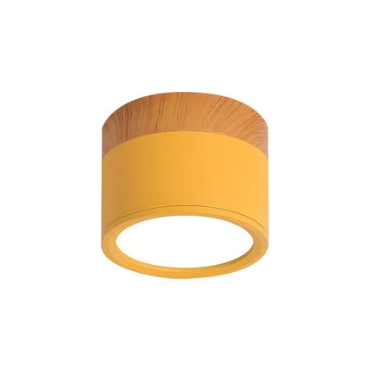 Compact Cylindrical Flush Mount LED Fixture for Residential Spaces – Aluminum Housing, Warm & Cool Temperatures, Multiple Finishes