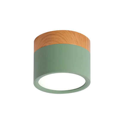 Compact Cylindrical Flush Mount LED Fixture for Residential Spaces – Aluminum Housing, Warm & Cool Temperatures, Multiple Finishes