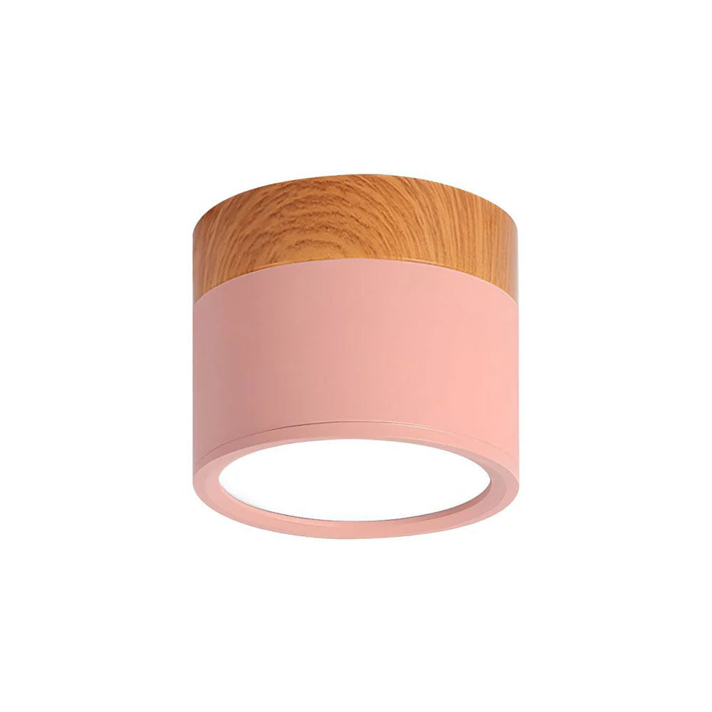 Compact Cylindrical Flush Mount LED Fixture for Residential Spaces – Aluminum Housing, Warm & Cool Temperatures, Multiple Finishes