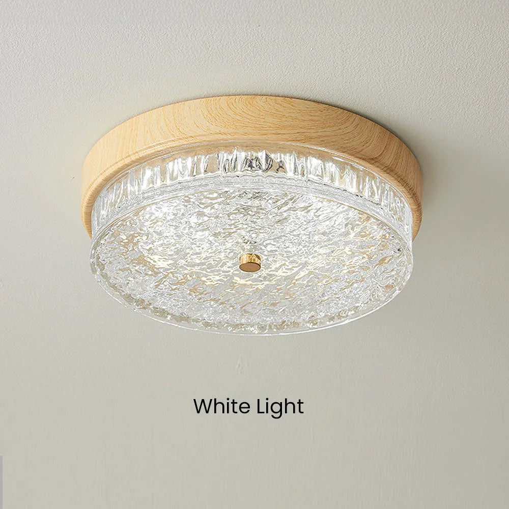 LED Flush Mount Ceiling Light with Glass Shade for Bedroom Living Room Dining Room Modern 12.6 in Round Fixture Indoor Ambient Lighting Cont