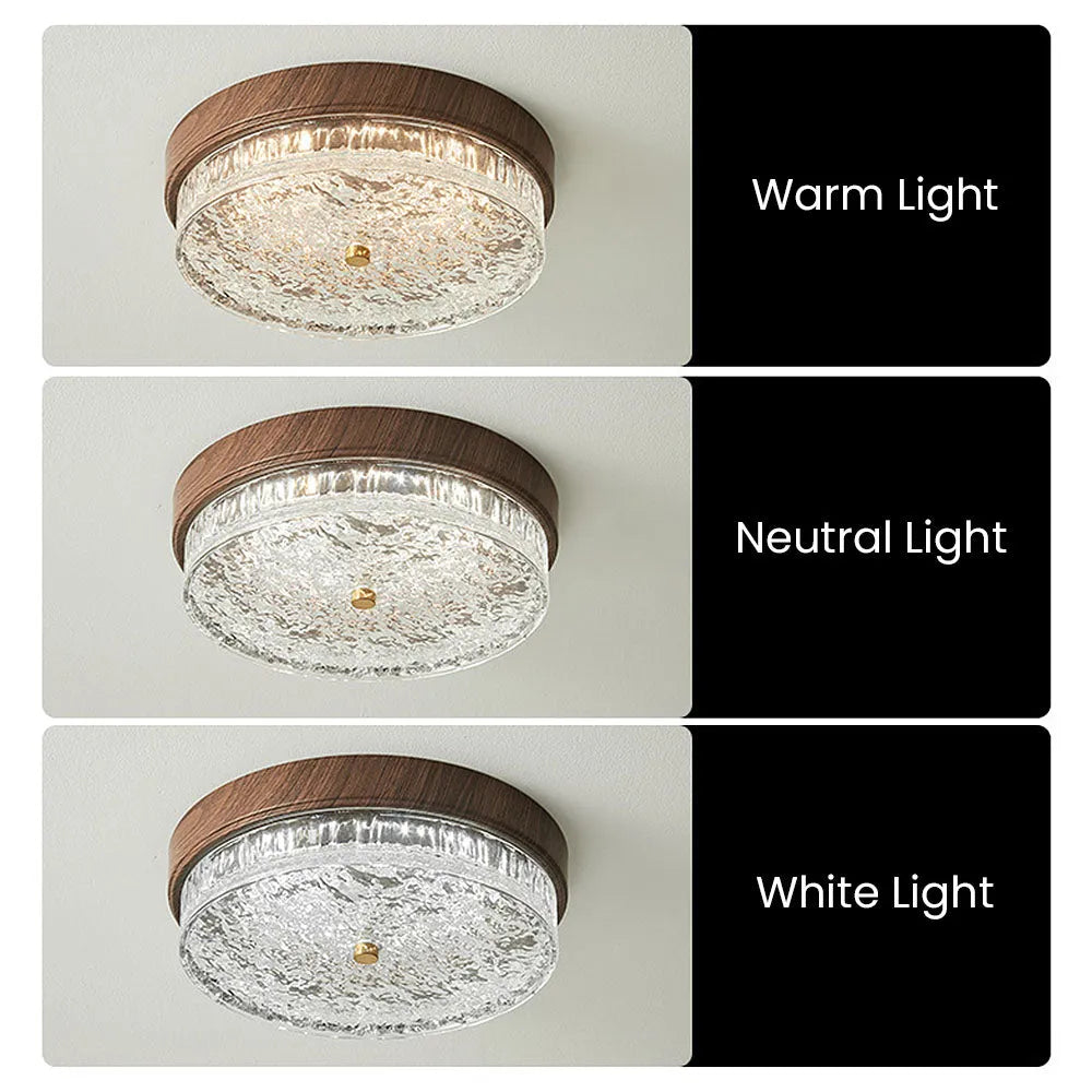 LED Flush Mount Ceiling Light with Glass Shade for Bedroom Living Room Dining Room Modern 12.6 in Round Fixture Indoor Ambient Lighting Cont