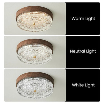 LED Flush Mount Ceiling Light with Glass Shade for Bedroom Living Room Dining Room Modern 12.6 in Round Fixture Indoor Ambient Lighting Cont