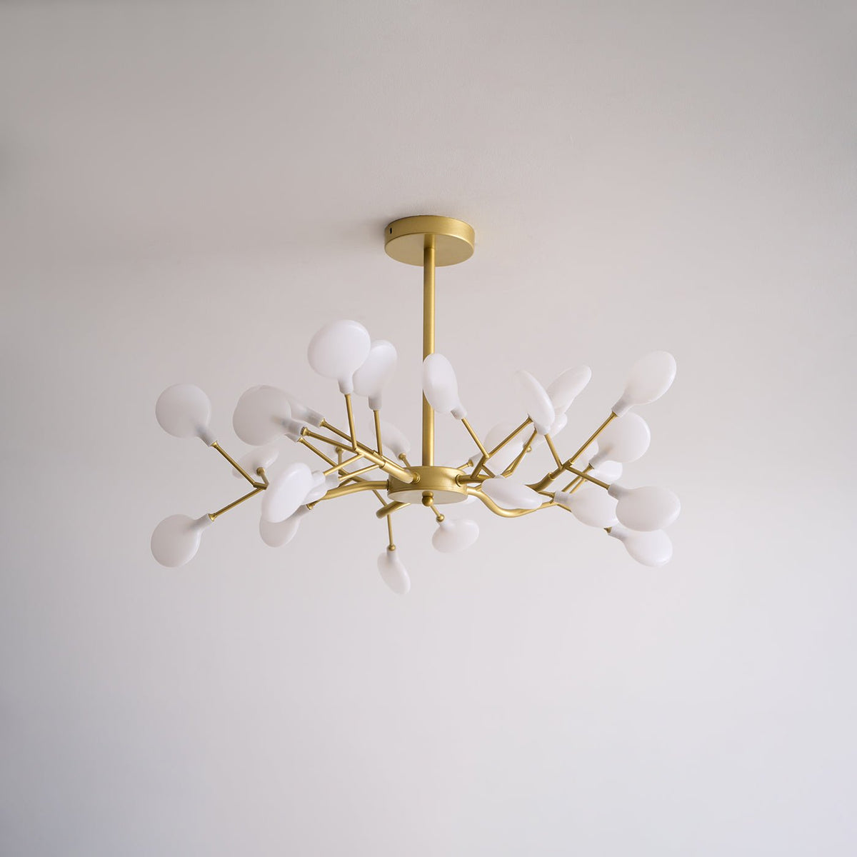 Lámpara de araña LED ramificada, dorada y acrílica, moderna lámpara de techo con varios brazos para comedor, sala de estar, dormitorio, iluminación ajustable