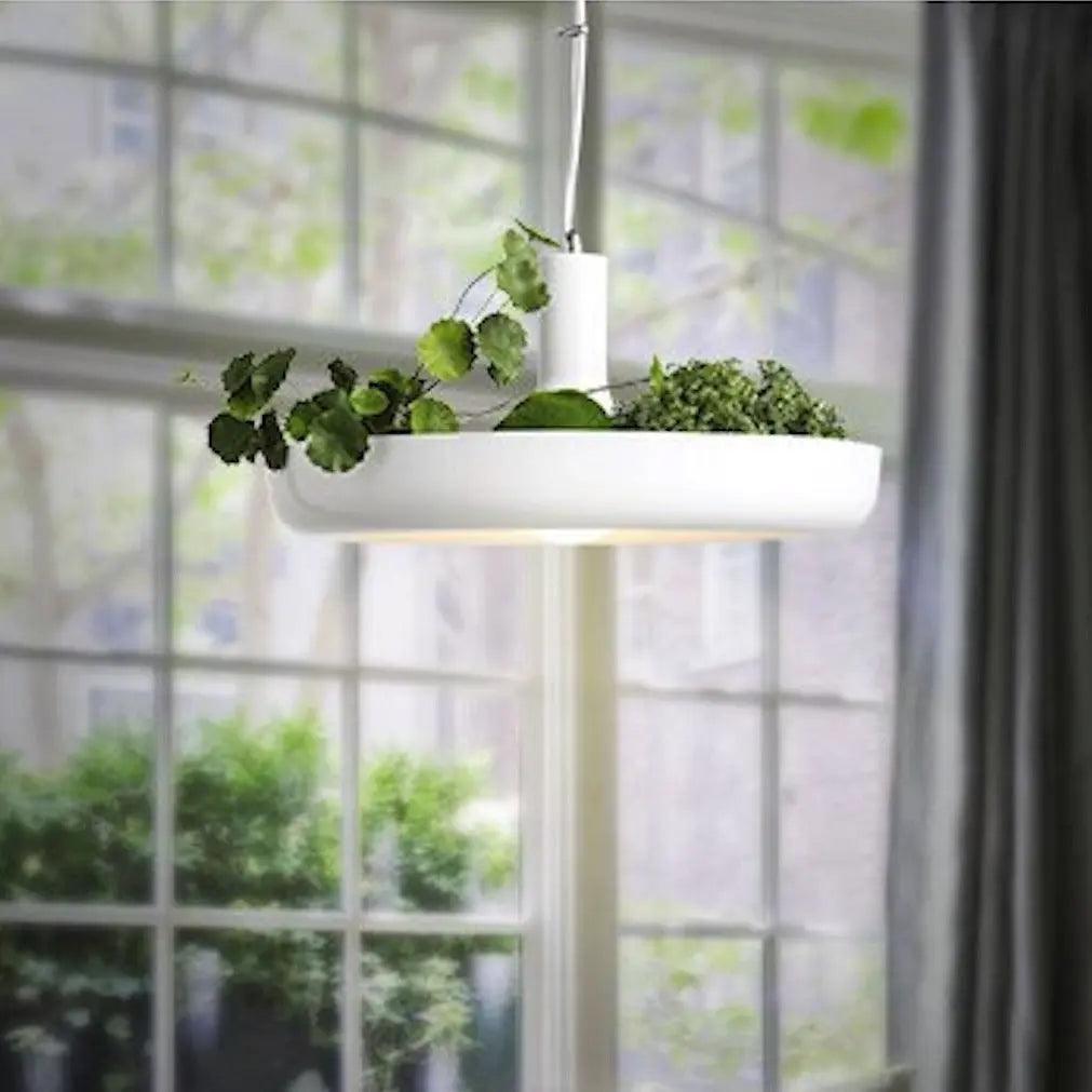 Hanging Planter Light with Built-In Pot for Indoor Plants, Succulents & Herbs, Modern Pendant Ceiling Fixture for Kitchen, Living Room & Din