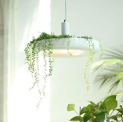 Hanging Planter Light with Built-In Pot for Indoor Plants, Succulents & Herbs, Modern Pendant Ceiling Fixture for Kitchen, Living Room & Din