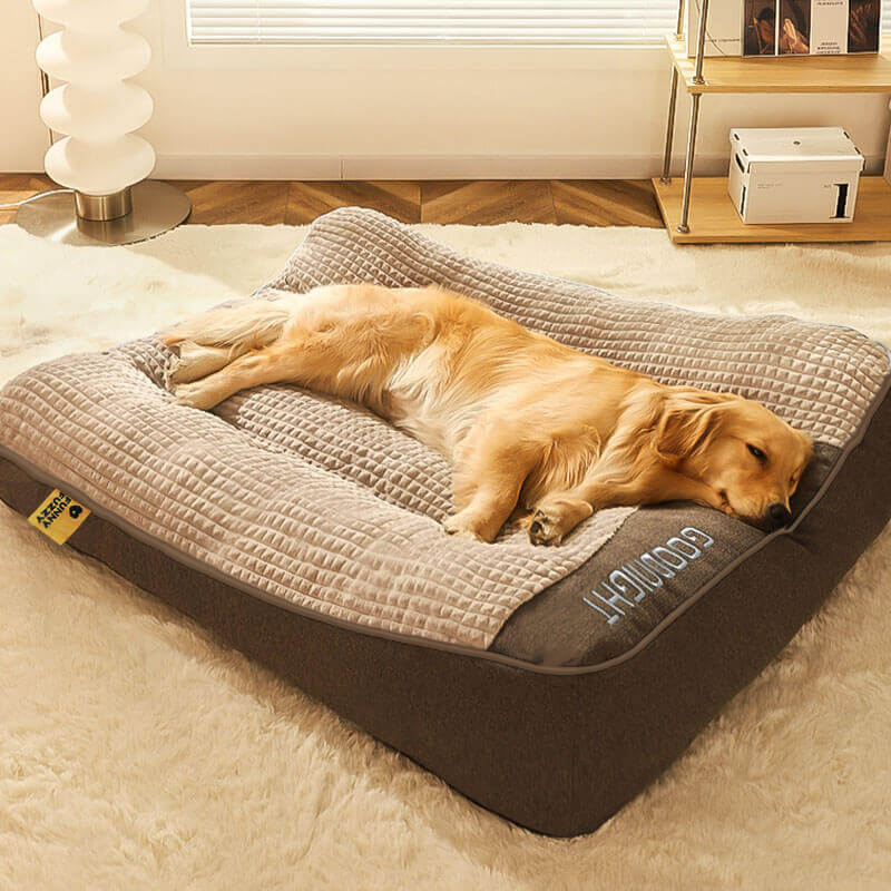 Orthopedic Dog Bed with Spine Support & Non-Slip Base for Large Breeds, Senior Dogs, Joint Relief