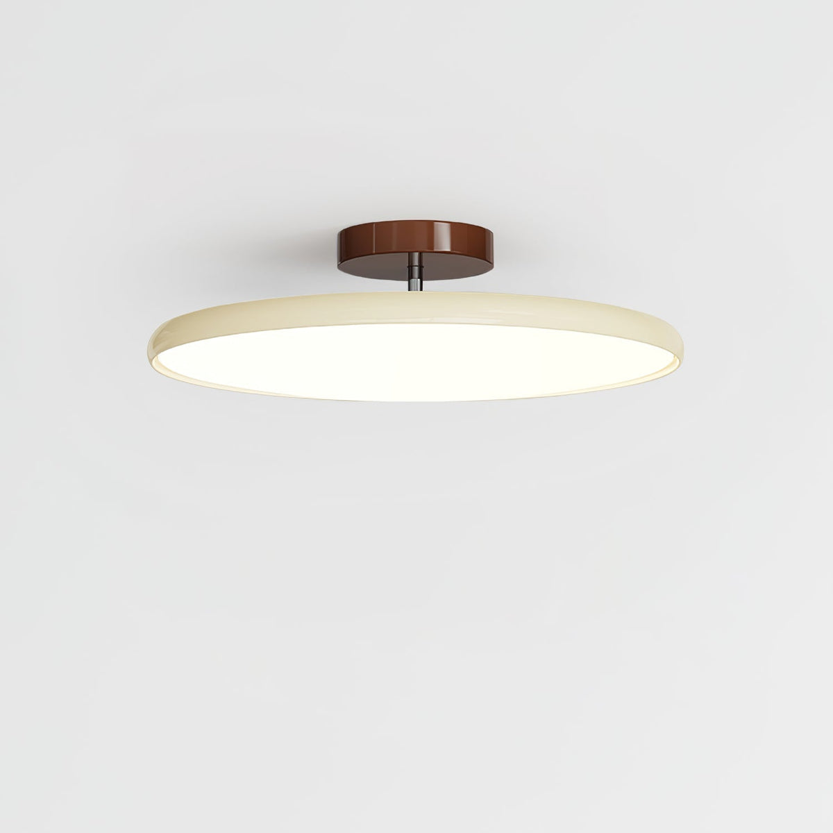 Swivel LED Flush Mount Ceiling Light 12 Inch Round Indoor Lamp Adjustable Directional Lighting for Bedroom Living Room Kitchen Dining Room T
