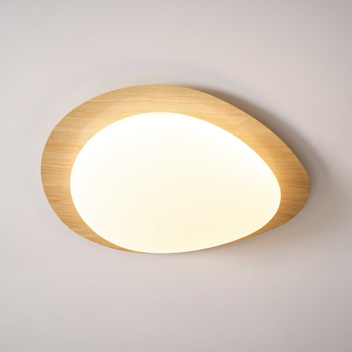 Flush Mount LED Ceiling Light Round 12 in Walnut Finish 12W Indoor for Bedroom Living Room Dining Room Kitchen Hallway Foyer Dimmable Low Pr