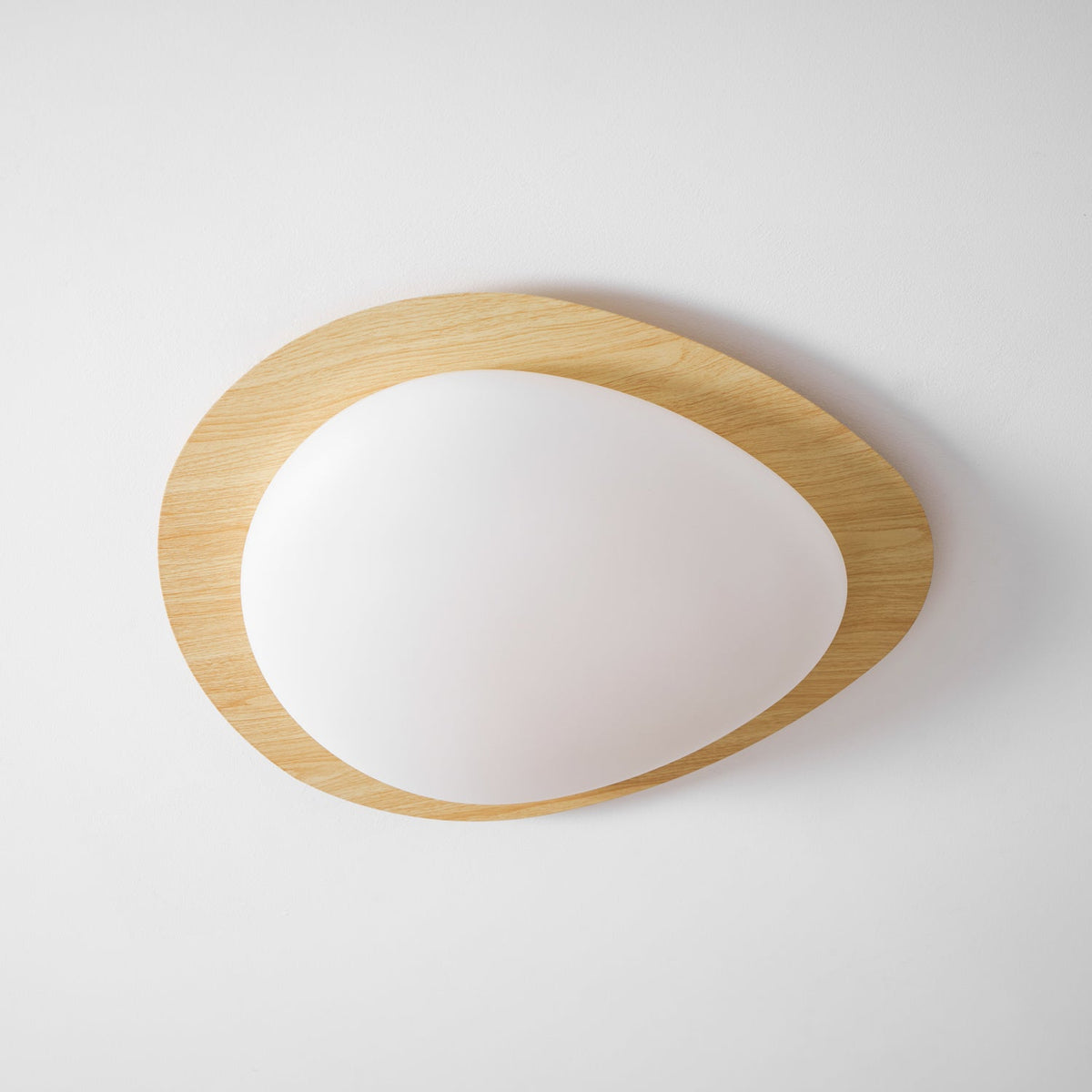 Flush Mount LED Ceiling Light Round 12 in Walnut Finish 12W Indoor for Bedroom Living Room Dining Room Kitchen Hallway Foyer Dimmable Low Pr
