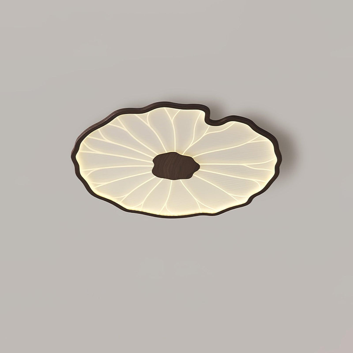 Flush Mount LED Fixture Wood Grain Acrylic Panel Adjustable Color Temperature for Low Profile Spaces Living Room Bedroom Office