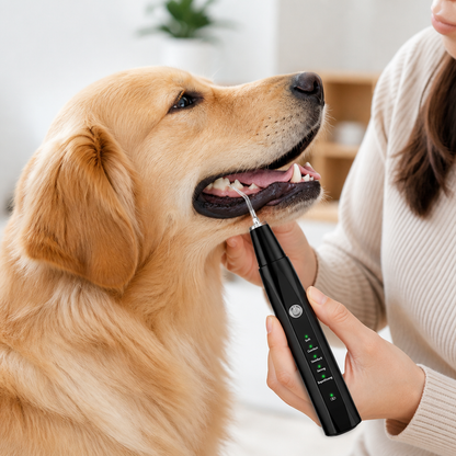Ultrasonic Gentle Ergonomic Pet Tooth Cleaner