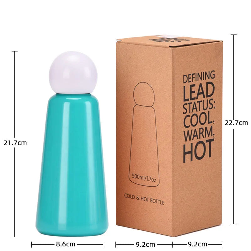 Stainless Steel Water Bottle, Double Wall Insulated Water Bottle, Leak Proof Water Bottle for Hot and Cold Drinks
