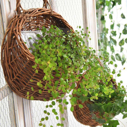 Cesta WillowNest - Cesta de almacenamiento colgante - Estilo rústico - Decoración natural