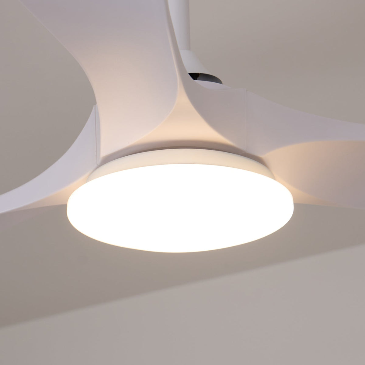 Ceiling Fan with Light 42in 52in Real Wood Blades 6 Speed LED Indoor Modern for Living Room Bedroom Dining Room Office Adjustable Temperatur
