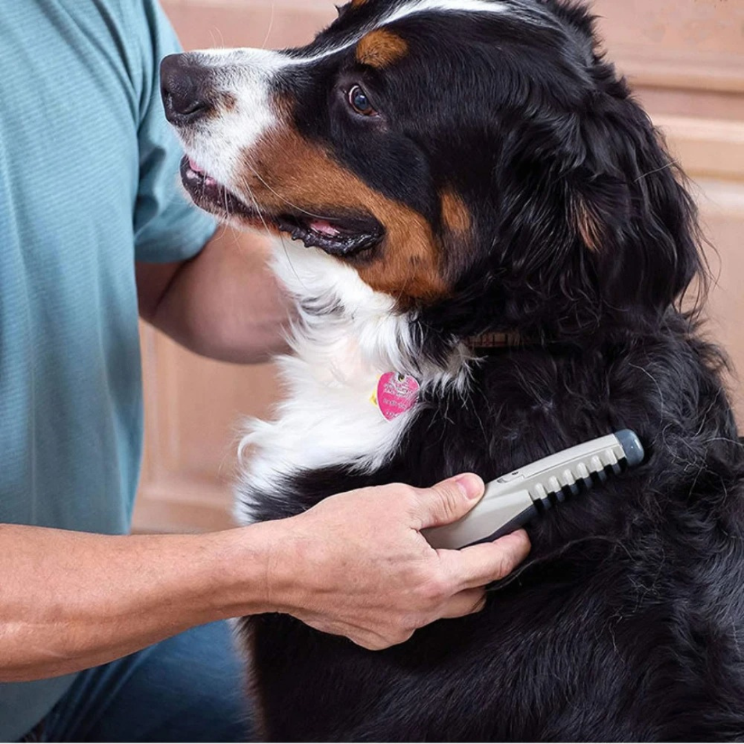Pet Grooming Detangling Comb with Safe Trimming Blades for Cats & Dogs