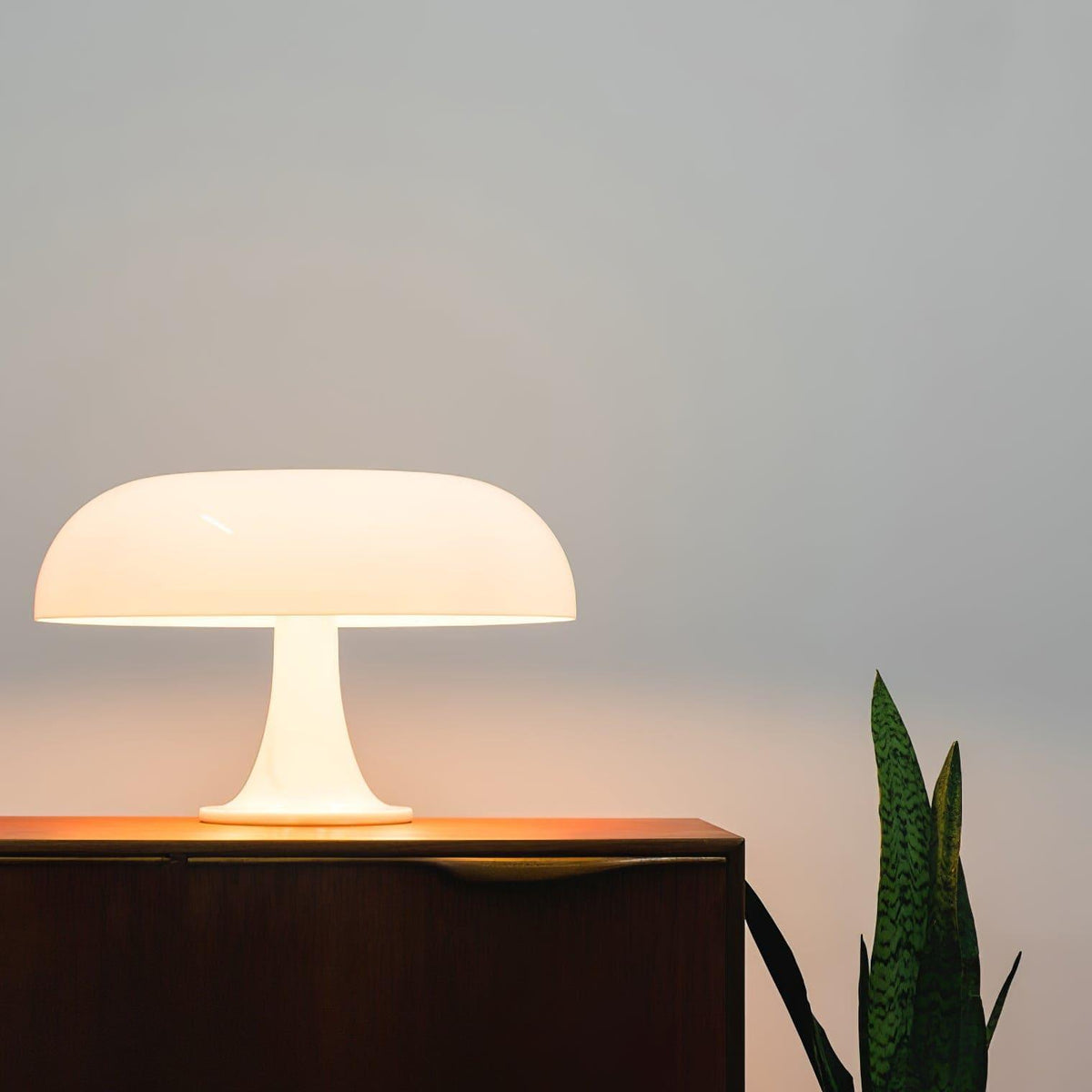 Mushroom Desk Lamp with Curved Metal Shade for Bedroom Nightstand Office Reading Study Ambient Lighting E14 Socket 40W Max 12.6 in Tall Mode