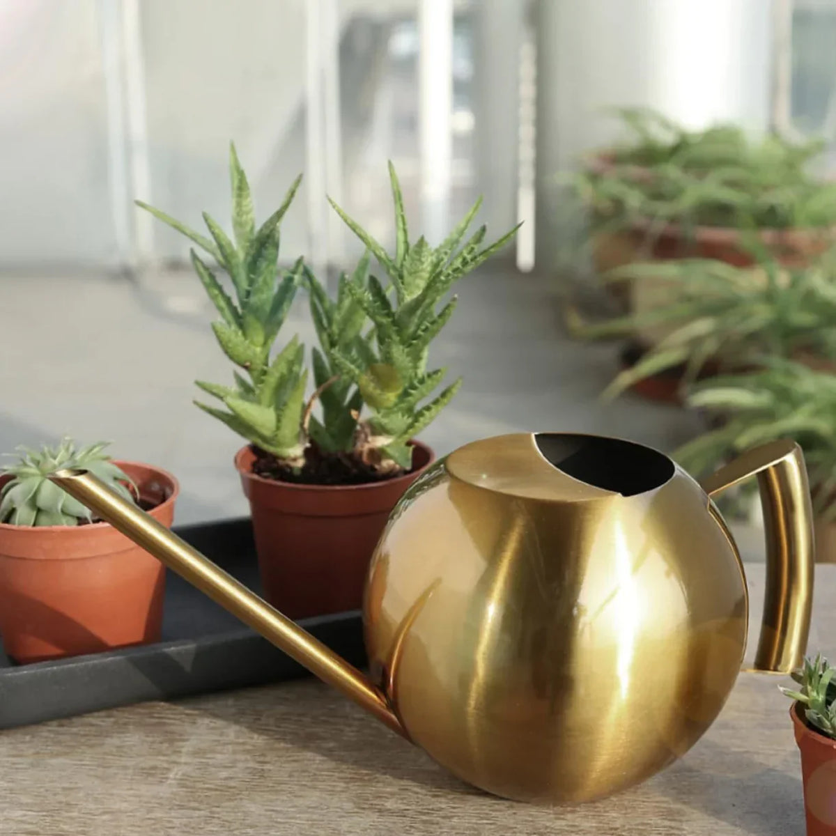 Metal Indoor Plant Watering Pitcher 11 in Diameter Long Spout Rust-Resistant Houseplant Tool Home Garden Container for Succulents Flowers