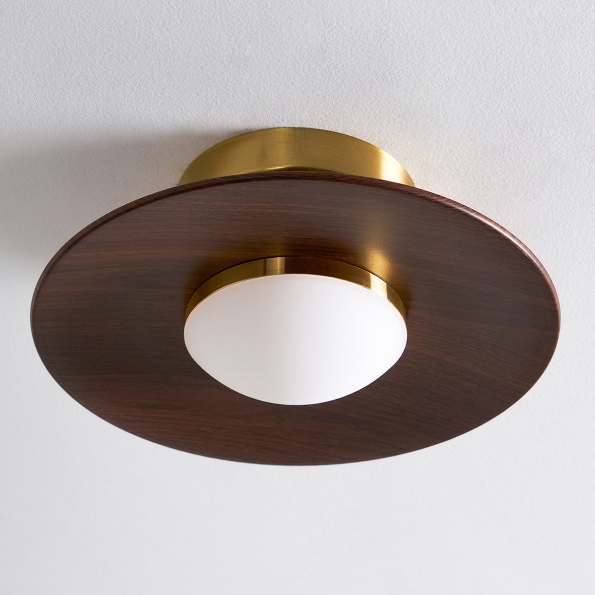 Flush Mount Light Fixture with Wood Accent 9 in Diameter LED for Kitchen Dining Room Entryway Hallway Low Profile Gold Metal Frame Walnut Fi