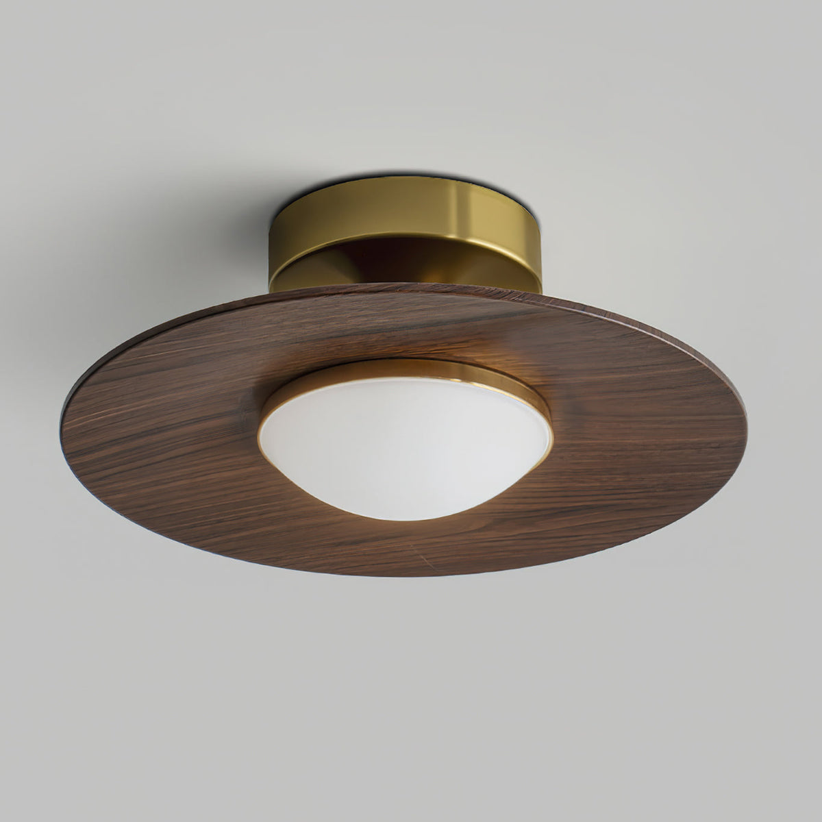 Flush Mount Light Fixture with Wood Accent 9 in Diameter LED for Kitchen Dining Room Entryway Hallway Low Profile Gold Metal Frame Walnut Fi
