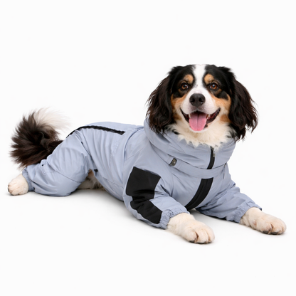 Compañero para exteriores | Impermeable para perros con capa reflectante | Diseño ligero para protección en todo clima