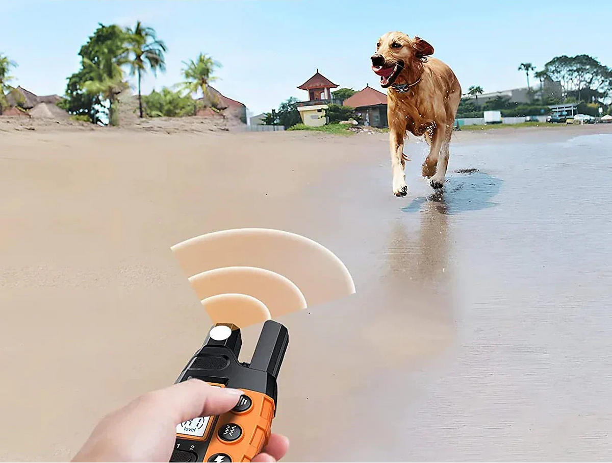 Pawfey Dog Training Collar | Waterproof, Rechargeable, 1000m Range, E Collar for Dogs