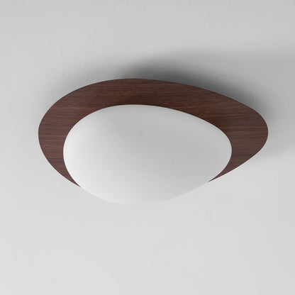 Flush Mount LED Ceiling Light Round 12 in Walnut Finish 12W Indoor for Bedroom Living Room Dining Room Kitchen Hallway Foyer Dimmable Low Pr