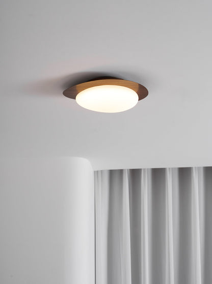 Flush Mount LED Ceiling Light Round 12 in Walnut Finish 12W Indoor for Bedroom Living Room Dining Room Kitchen Hallway Foyer Dimmable Low Pr