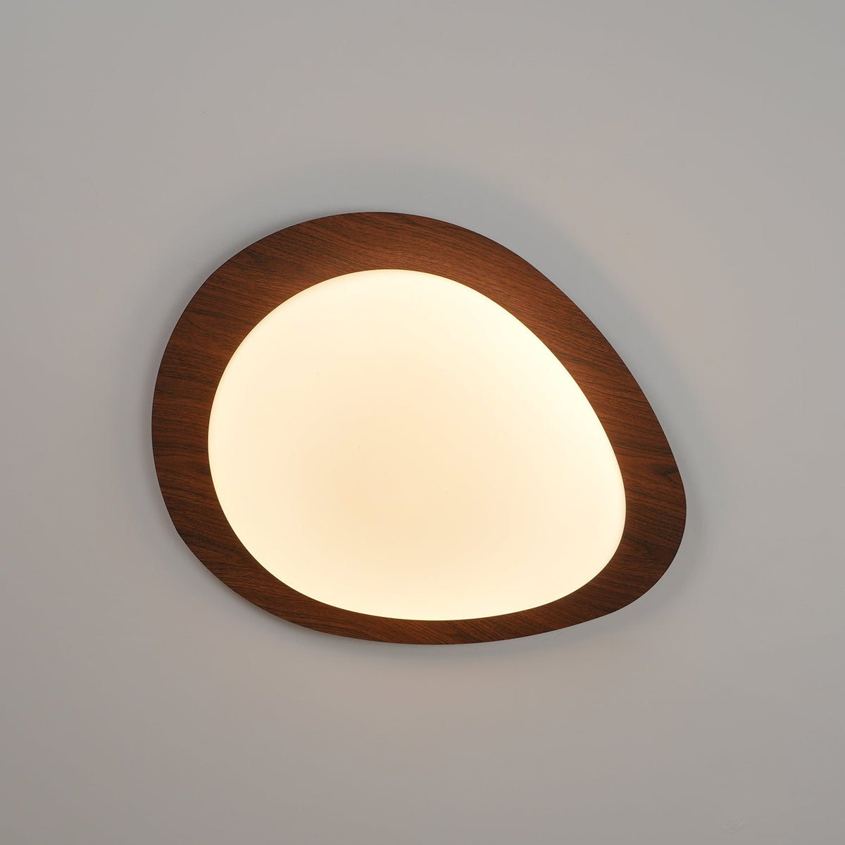 Flush Mount LED Ceiling Light Round 12 in Walnut Finish 12W Indoor for Bedroom Living Room Dining Room Kitchen Hallway Foyer Dimmable Low Pr