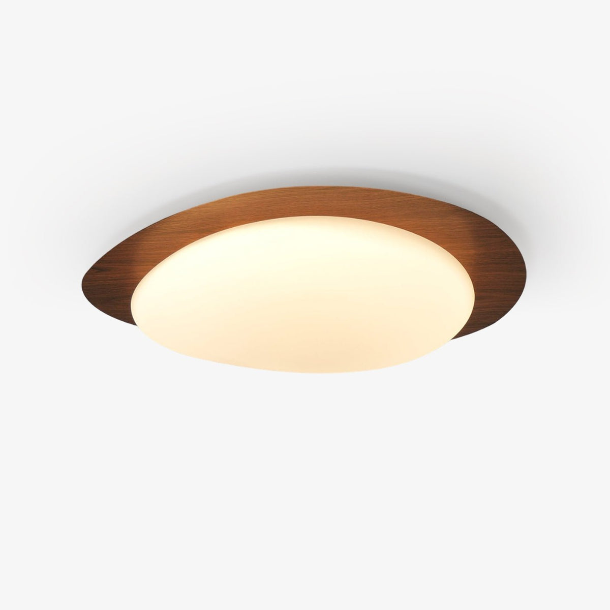 Flush Mount LED Ceiling Light Round 12 in Walnut Finish 12W Indoor for Bedroom Living Room Dining Room Kitchen Hallway Foyer Dimmable Low Pr