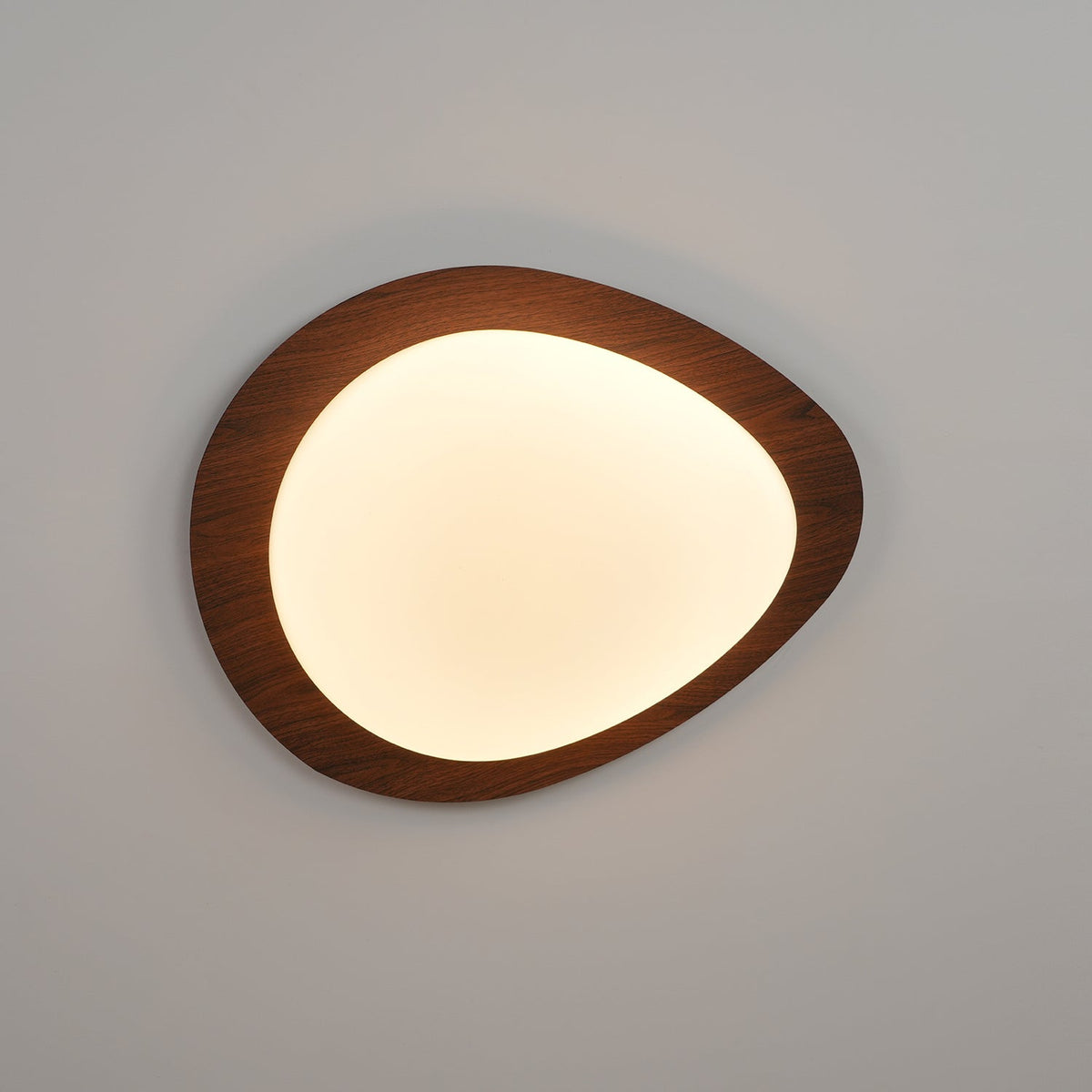 Flush Mount LED Ceiling Light Round 12 in Walnut Finish 12W Indoor for Bedroom Living Room Dining Room Kitchen Hallway Foyer Dimmable Low Pr