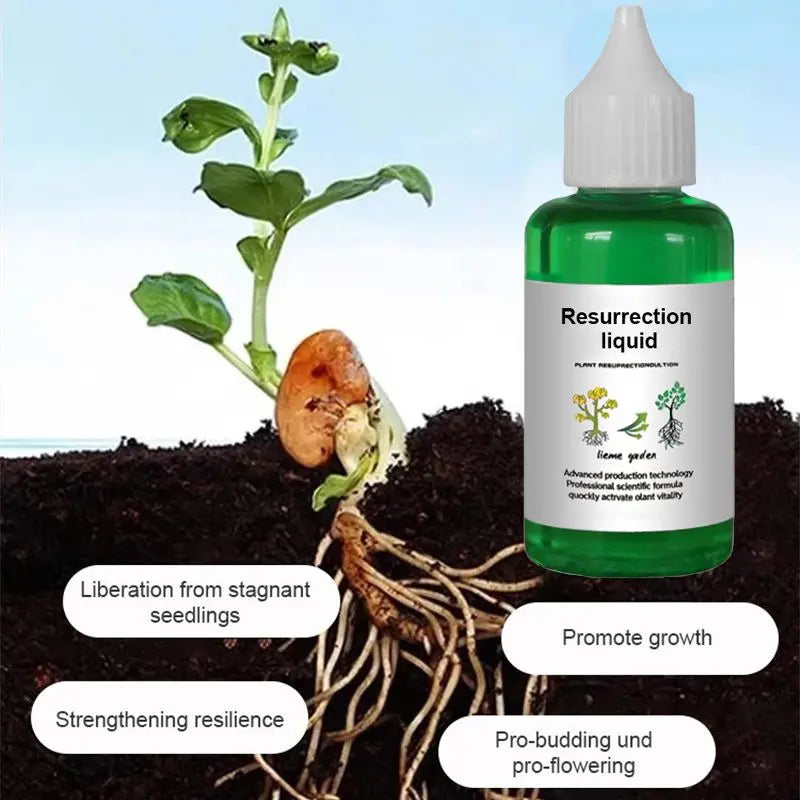Liquid Plant Growth Booster for Stronger Roots & More Blooms – Indoor Outdoor Fertilizer for Houseplants Vegetables Herbs Succulents Fruit T