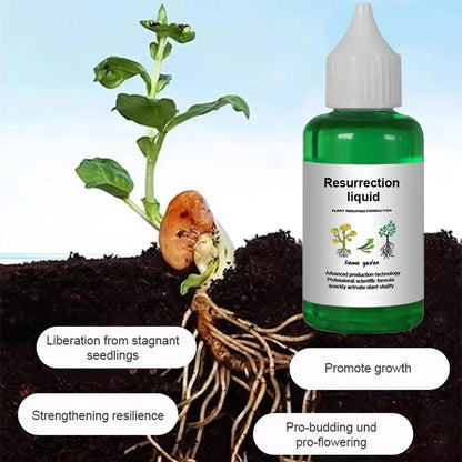 Liquid Plant Growth Booster for Stronger Roots & More Blooms – Indoor Outdoor Fertilizer for Houseplants Vegetables Herbs Succulents Fruit T