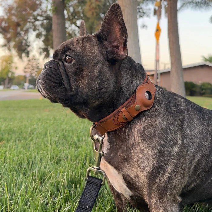 GPS Tracker Dog Collar with Adjustable Microfiber Strap – Waterproof Pet Safety Collar for Daily Walks and Outdoor Adventures