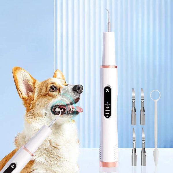 Ortekor PetCare | Dispositivo de limpieza dental para perros con 5 niveles ajustables | Cuidado dental eficaz para mascotas para sonrisas más saludables