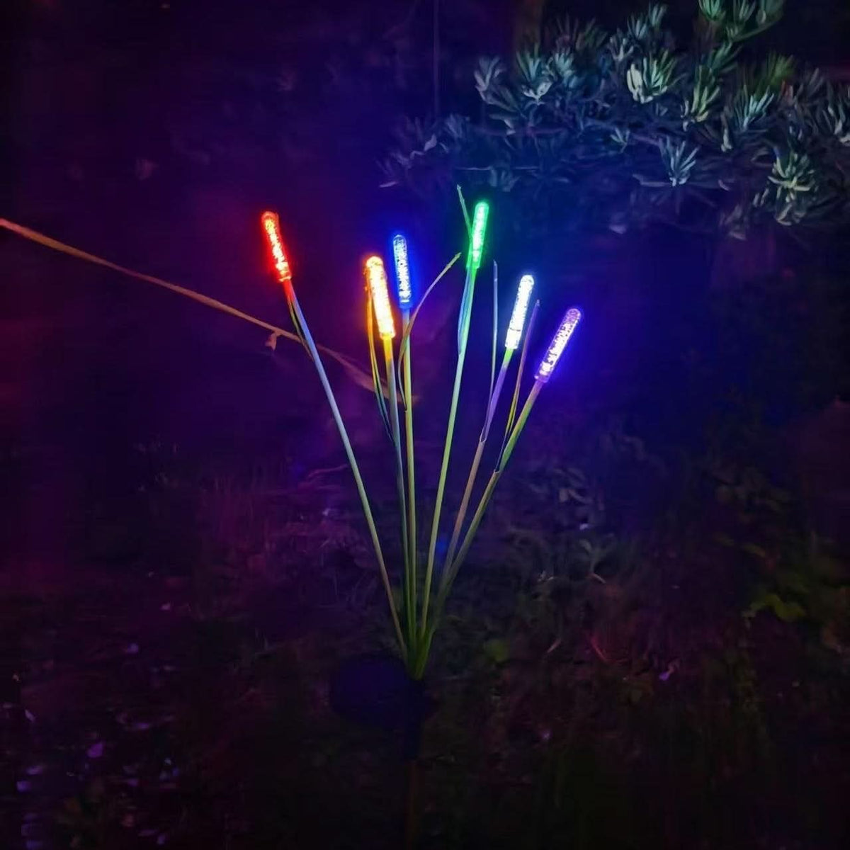 REEDLIVA – Luces solares de caña para decoración de jardines exteriores