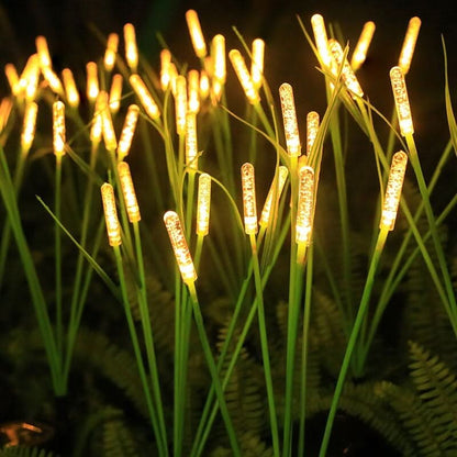 REEDLIVA – Luces solares de caña para decoración de jardines exteriores