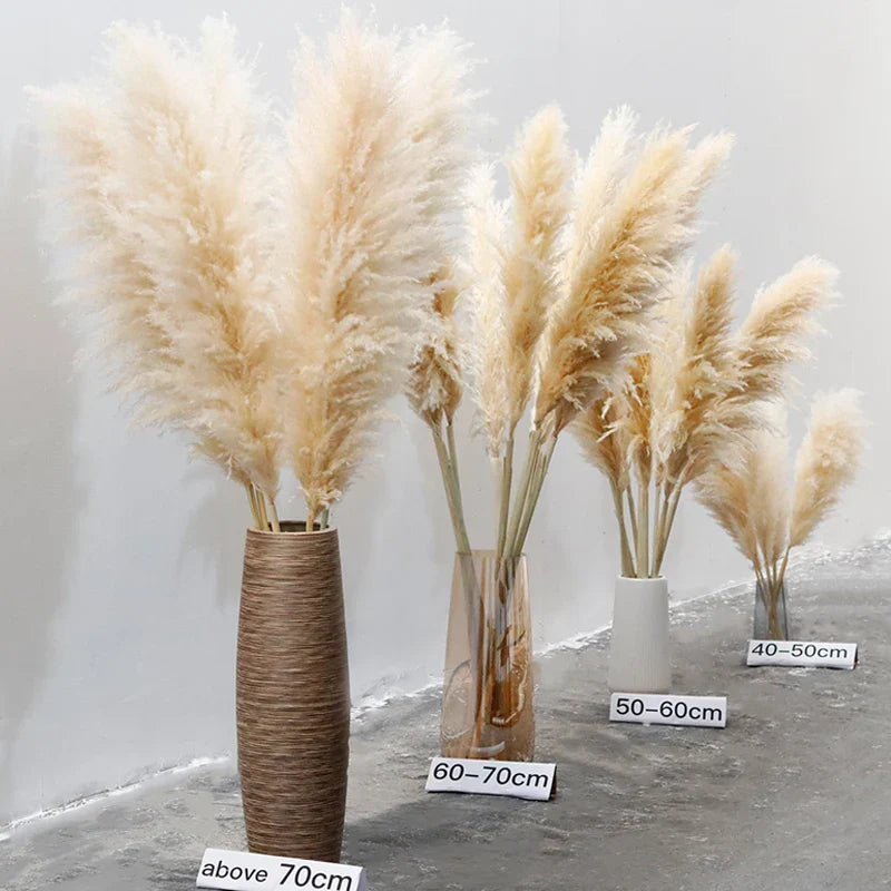 Tallos de hierba de las pampas natural y esponjosa para jarrones | Acentos florales secos de 16-30 pulgadas para decoración de estantes de sala de estar, centros de mesa para eventos, estilo boho